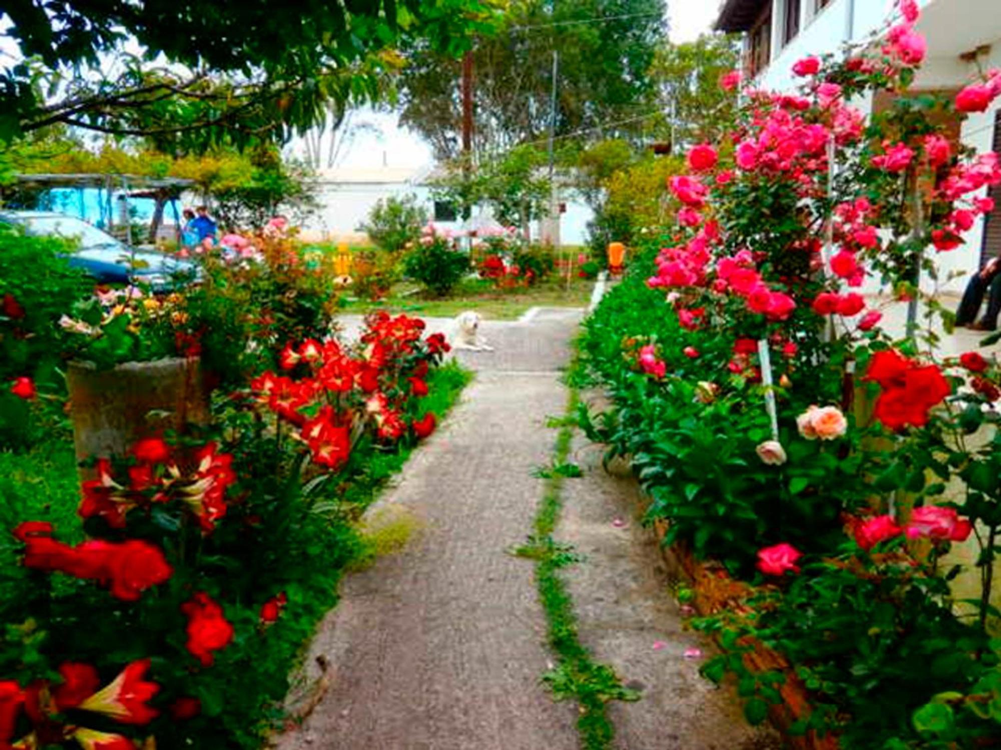 Eftichia Apartment Roda  Luaran gambar